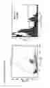 Fig. 04 - METHOD FOR THE PRODUCTION OF ANTIBODIES
