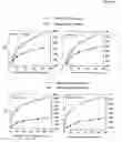 Fig. 04 - Means for detection and purification of CD8+  T lymphocyte populations specific to peptides presented in the context of HLA