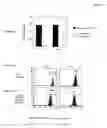 Fig. 05 - Means for detection and purification of CD8+  T lymphocyte populations specific to peptides presented in the context of HLA