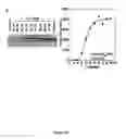 Fig. 05 - Compositions and methods of a phosphatidic acid binding protein