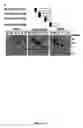 Fig. 09 - Compositions and methods of a phosphatidic acid binding protein