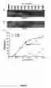 Fig. 12 - Compositions and methods of a phosphatidic acid binding protein