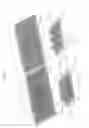 Fig. 02 - BIO SURFACE ACOUSTIC WAVE (SAW) RESONATOR AMPLIFICATION WITH NANOPARTICLES FOR DETECTION OF A TARGET ANALYTE