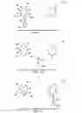 Fig. 02 - RAPID DETECTION NANOSENSORS FOR BIOLOGICAL PATHOGENS