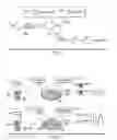 Fig. 03 - RAPID DETECTION NANOSENSORS FOR BIOLOGICAL PATHOGENS