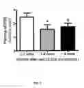 Fig. 03 -  METHOD FOR DIAGNOSING ATHEROSCLEROTIC PLAQUES BY MEASUREMENT OF CD36