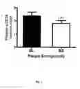 Fig. 05 -  METHOD FOR DIAGNOSING ATHEROSCLEROTIC PLAQUES BY MEASUREMENT OF CD36