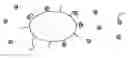 Fig. 01 - QUANTUM DOT BIOTAGS