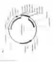 Fig. 03 - SECRETED LUCIFERASE MLUC7 AND USE THEREOF