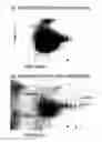 Fig. 01 - METHOD OF EVALUATING FOAM-HOLDING PROPERTY OF FERMENTED MALT DRINK AND MARKER FOR EVALUATING FOAM-HOLDING