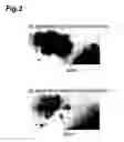 Fig. 04 - METHOD OF EVALUATING FOAM-HOLDING PROPERTY OF FERMENTED MALT DRINK AND MARKER FOR EVALUATING FOAM-HOLDING