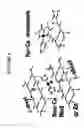 Fig. 05 - Methods of Identifying Disease Biomarkers in the Lense of the Eye