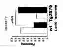 Fig. 12 - Methods of Identifying Disease Biomarkers in the Lense of the Eye