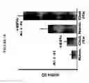 Fig. 19 - Methods of Identifying Disease Biomarkers in the Lense of the Eye