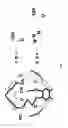 Fig. 12 - Tri-functionalized cryptophane biosensors