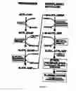 Fig. 02 - METHODS FOR THE DIAGNOSIS AND RISK ASSESSMENT OF PLASMALOGEN DEFICIENCY MEDIATED DISEASES OF AGING
