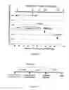 Fig. 09 - METHODS FOR THE DIAGNOSIS AND RISK ASSESSMENT OF PLASMALOGEN DEFICIENCY MEDIATED DISEASES OF AGING
