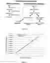 Fig. 12 - METHODS FOR THE DIAGNOSIS AND RISK ASSESSMENT OF PLASMALOGEN DEFICIENCY MEDIATED DISEASES OF AGING