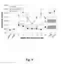 Fig. 10 - NUCLEIC ACID COMPOUNDS FOR INHIBITING GENE EXPRESSION AND USES THEREOF