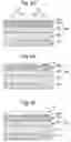 Fig. 04 - Method of making pillars using photoresist spacer mask