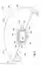 Fig. 06 - Guard hood torsion preventer