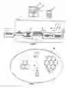Fig. 02 - LOCATION ROUTING AREA UPDATE PROCEDURES FOR MOBILE COMMUNICATION SYSTEMS