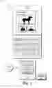 Fig. 02 - Display Size of Representations of Content