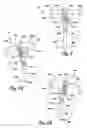 Fig. 05 - Abdominal exercise and training apparatus