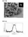 Fig. 20 - CERAMIC HONEYCOMB STRUCTURE