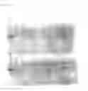 Fig. 03 - Activators of lateral root formation