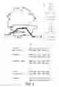 Fig. 03 - Evolved orthogonal ribosomes