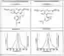 Fig. 02 - NOVEL CAPTURE AGENTS FOR BINDING A LIGAND
