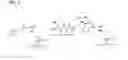 Fig. 06 - NOVEL CAPTURE AGENTS FOR BINDING A LIGAND
