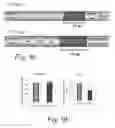 Fig. 10 - Methods of RNA display