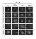Fig. 11 - CANCER STEM CELLS AND USES THEREOF