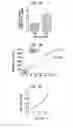 Fig. 12 - CANCER STEM CELLS AND USES THEREOF
