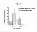 Fig. 16 - CANCER STEM CELLS AND USES THEREOF