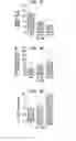Fig. 18 - CANCER STEM CELLS AND USES THEREOF