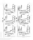 Fig. 19 - CANCER STEM CELLS AND USES THEREOF