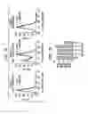 Fig. 21 - CANCER STEM CELLS AND USES THEREOF