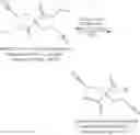 Fig. 13 - Process of purification of amidoxime containing cleaning solutions and their use
