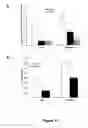 Fig. 17 - Methods of Inhibiting Tumor Cell Aggressiveness Using the Microenvironment of Human Embryonic Stem Cells