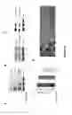 Fig. 20 - Methods of Inhibiting Tumor Cell Aggressiveness Using the Microenvironment of Human Embryonic Stem Cells