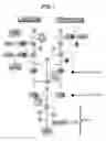 Fig. 02 - METHOD OF TREATING RESPIRATORY DISORDERS