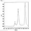 Fig. 03 - Three-branched polyethylene glycol-G-CSF conjugate