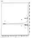 Fig. 07 - Three-branched polyethylene glycol-G-CSF conjugate