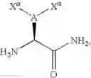 Fig. 02 - C-Terminal Attachment of Two Chemical Groups to Peptides