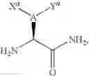 Fig. 121 - C-Terminal Attachment of Two Chemical Groups to Peptides
