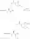 Fig. 42 - C-Terminal Attachment of Two Chemical Groups to Peptides