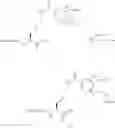 Fig. 43 - C-Terminal Attachment of Two Chemical Groups to Peptides